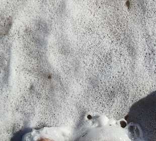 Praia de Nossa Senhora da Rocha