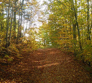 Wandern Bad Schönau