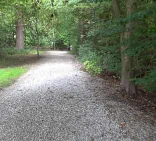 Seeuferweg