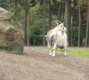 Serengeti Park Hodenhagen