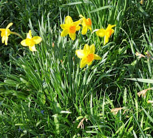 Impressionen vom Spaziergang durch den Kurpark