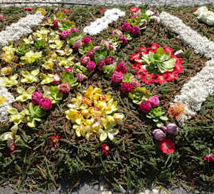 Blumentapeten in den Straßen von Funchal