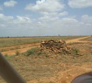 Tsavo Ost