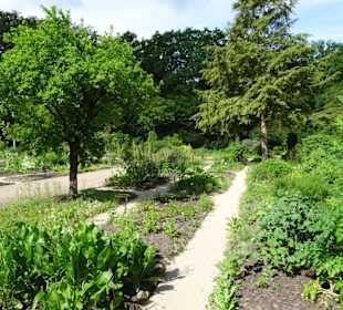 Spaziergang durch den Botanischen Garten Bremen