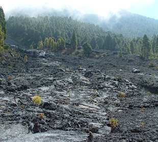 Cumbre Vieja / Lavastrom von San Nicolas