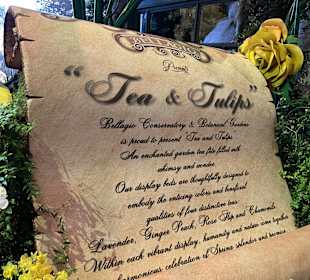 Botanischer Garten im Bellagio Las Vegas