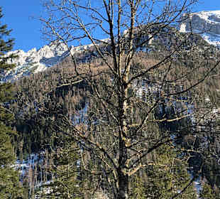 Wandern Schönau am Königssee