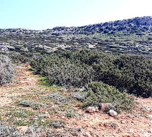 Nationalpark Kap Greco