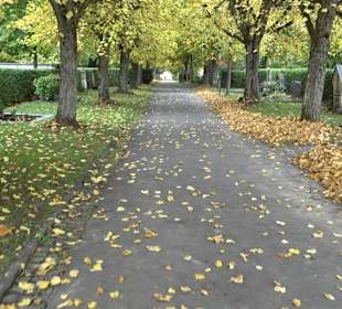 Hauptfriedhof Friedrichshafen