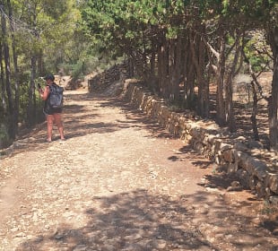 Dracheninsel/Dragonera