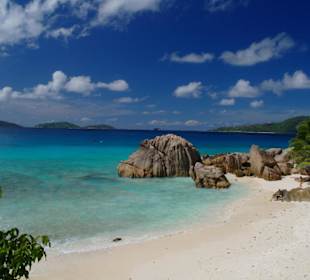 Anse Palates