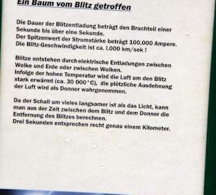 Erklärung vom Künstler/in