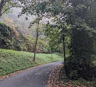 Wandern Höhr Grenzhausen