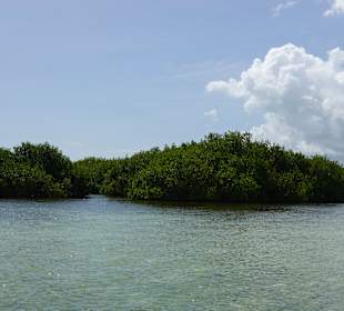 Saona Island mit Lilly