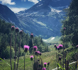 Wandern Moso in Passiria / Moos in Passeier