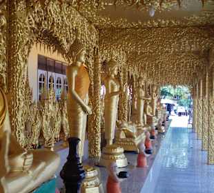 Schöne vergoldete Buddhastatuen