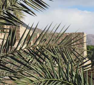 Мамлюкский форт