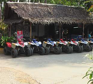 Qual der Wahl des Models 