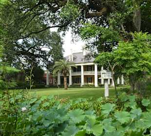 Houmas House 6
