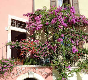 Streifzug durch die Altstadt von Limone