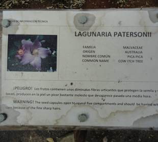 Parque Botánico de Maspalomas