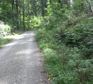 Wanderung Sulzeiche ins Schaichtal Walddorf