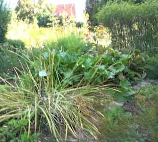 Botanischer Garten München