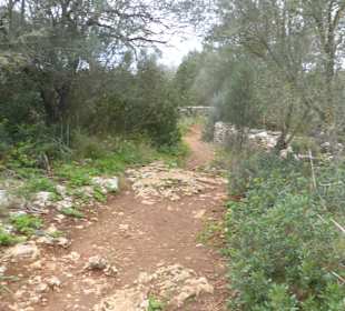 Naturpark Mondragon Fussweg