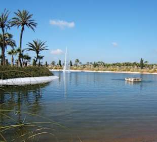 Botanicactus - künstlicher See