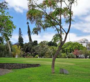 Spaziergang durch den Parque de Santa Catarina