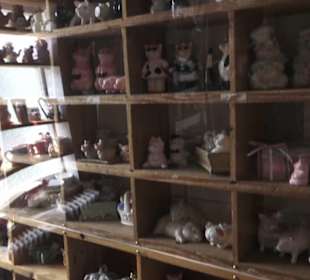 SchweineMuseum