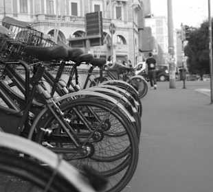 Rowery, wszędzie rowery