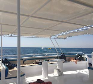 Delfinausflug mit Mo