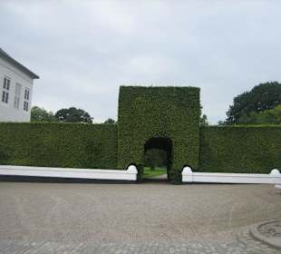 Eingang durch die Hecke
