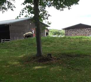 Gedenkstätte Grafeneck