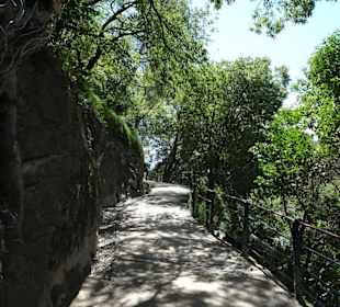 Anstieg von der Stadt auf dem Tappeinerweg