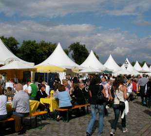 Passend,  die Sonne lacht