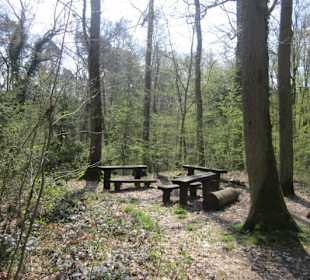 Bei der Lingenfelder Grotte