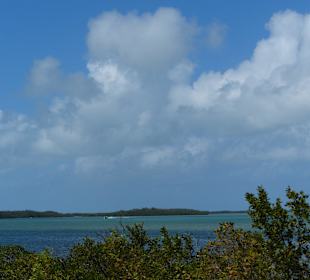 Abwechslungsreiche Fahrt