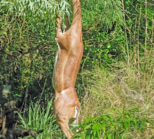 Da schmeckt's besonders gut...