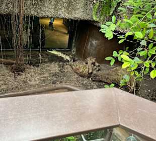 Aquazoo Löbbecke Museum Düsseldorf