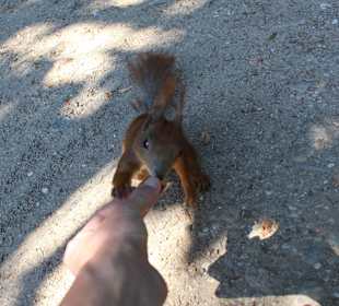 Łazienki królewskie, park