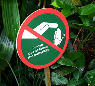 Singapur Zoo