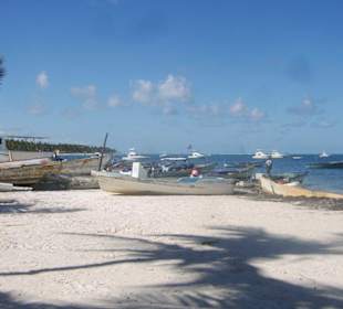 Ablegestelle zum Marinarium