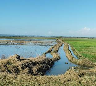 Stadtrundfahrt Santo Domingo