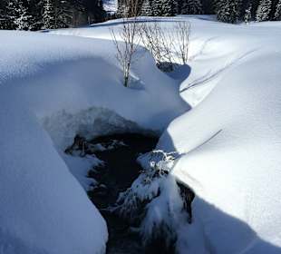 Wandern Balderschwang