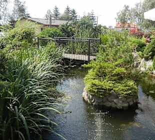 Restaurant Zloty Okon