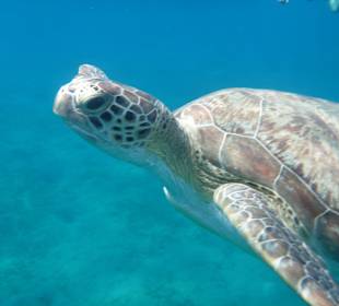 Marsa Alam