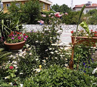 Blumengarden am "Sindbad" in Eskiköy Icmeler