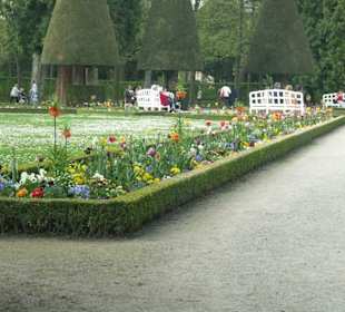 Hofgarten /Residenz Würzburg